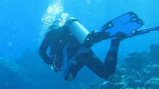 The ATOCHA... Real Treasure in the Florida Keys! The ATOCHA... Real Treasure in the Florida Keys!