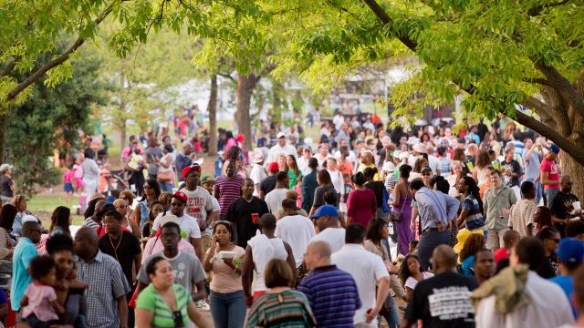 Atlanta Dogwood Festival Atlanta Dogwood Festival